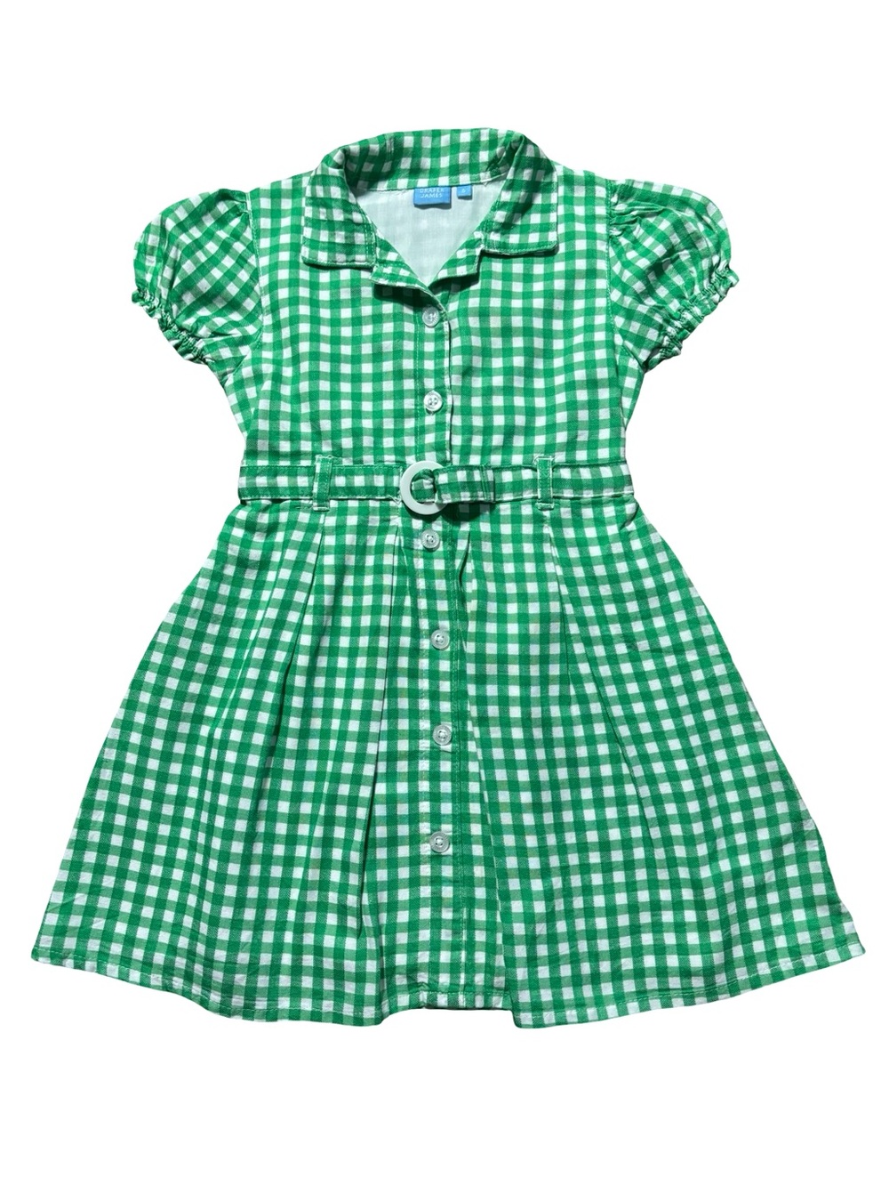 Draper James Green Gingham Belted Shirt Dress
